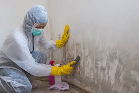 Trusted Meeker, OK Mold Removal & Remediation Experts